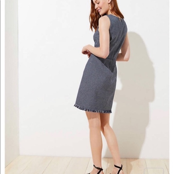 Loft Twill Fit n Flare Blue Dress Size 4 - Picture 2 of 7